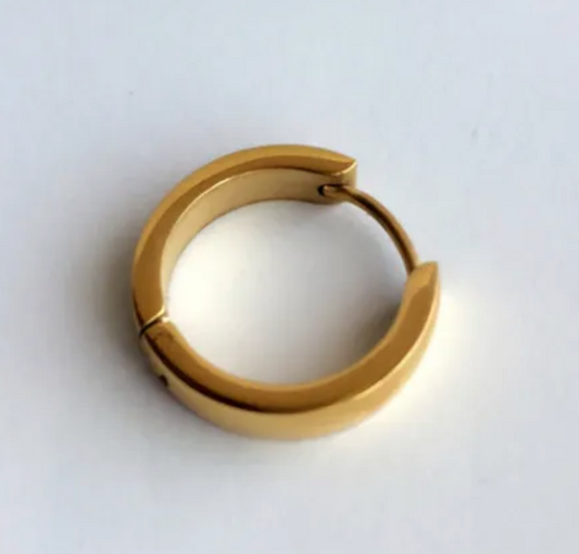 Petite Gold Hoops